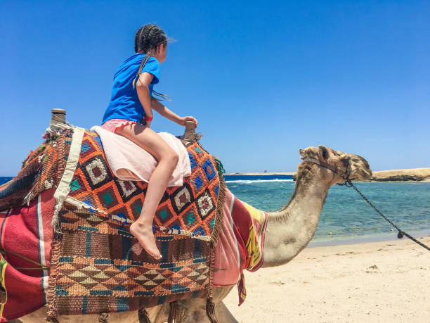 istock Young Girl Riding a Camel in Egypt 1033746600