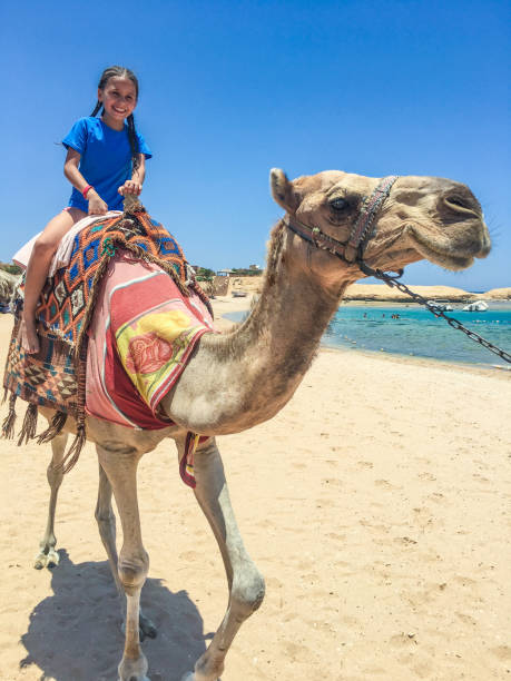 istock Young Girl Riding a Camel in Egypt 1033746610