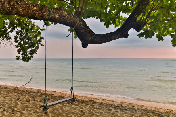 istock Swing on  sunset at the beach 1033747564