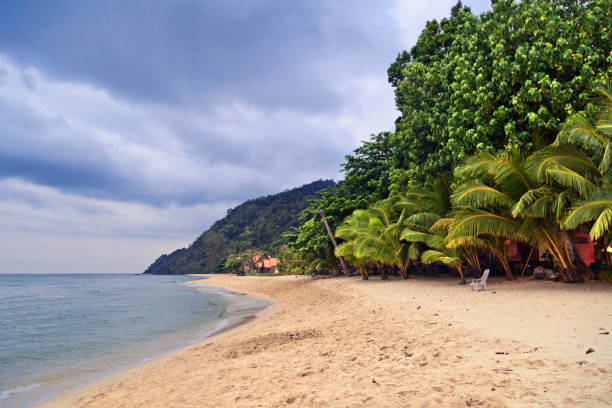istock tropical beach under gloomy sky 1033747578