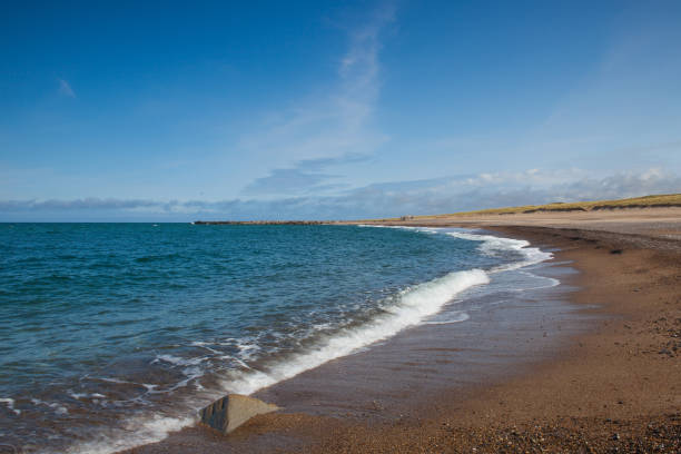 istock On the beach in Agger, Denmark 1033750936