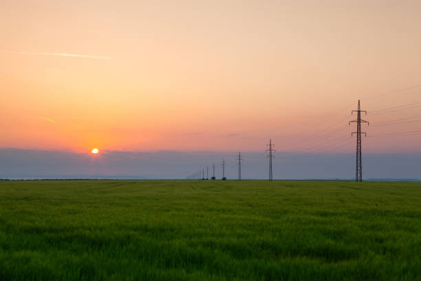 istock Summer morning landscape with wheat field 1033751022