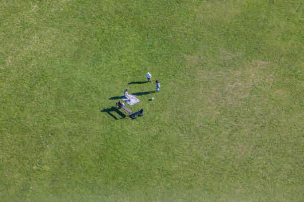 people on green field from above