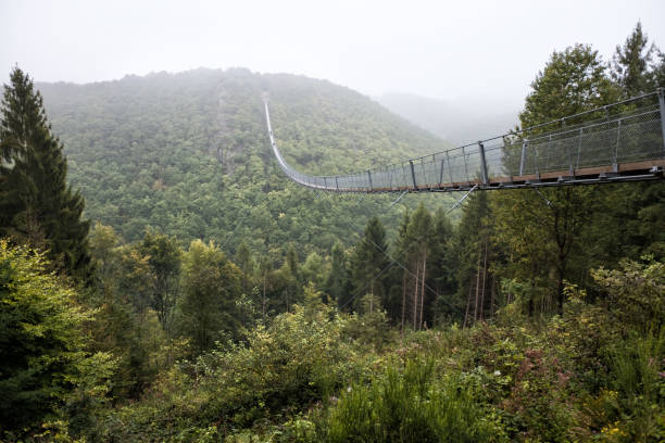 Geierlay suspension bridge in Germany