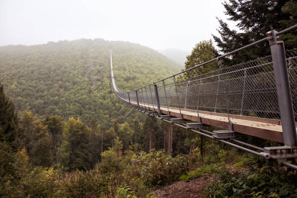 istock Geierlay suspension bridge in Germany 1033768686