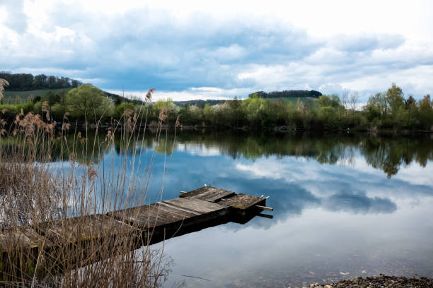 Haff Reimech pond view Panoramic view of the lake in the nature reserve Haff Reimech and ornithology center Biodiversum in Remerschen near Schengen, Luxembourg. Nature and bird protection concept. remich stock pictures, royalty-free photos & images