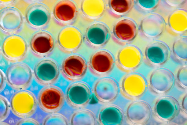 istock DNA pcr multiwell sample plate with different color dye 1033774318
