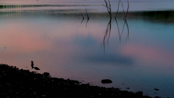 istock Sunset clouds reflecting in a lake with a tree silhouette 1033777032
