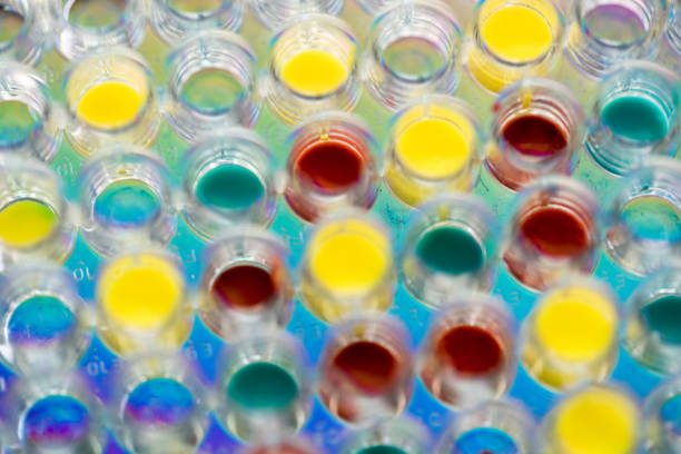 istock DNA pcr multiwell sample plate with different color dye 1033777306