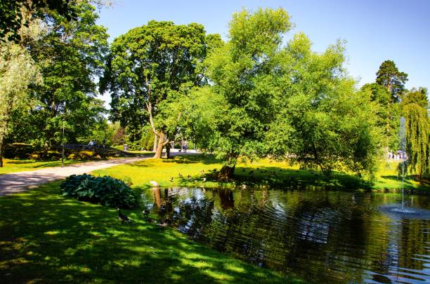 istock landscape. Park with a pond and a fountain 1033777612