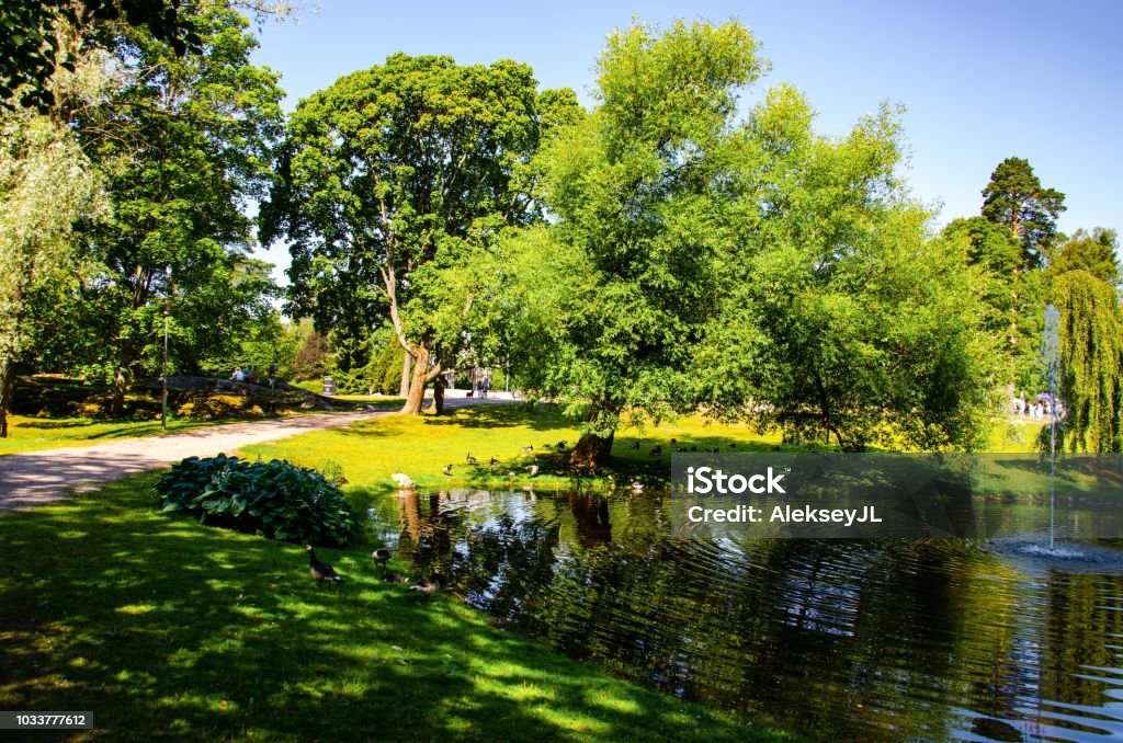 landscape. Park with a pond and a fountain Horizontal Stock Photo