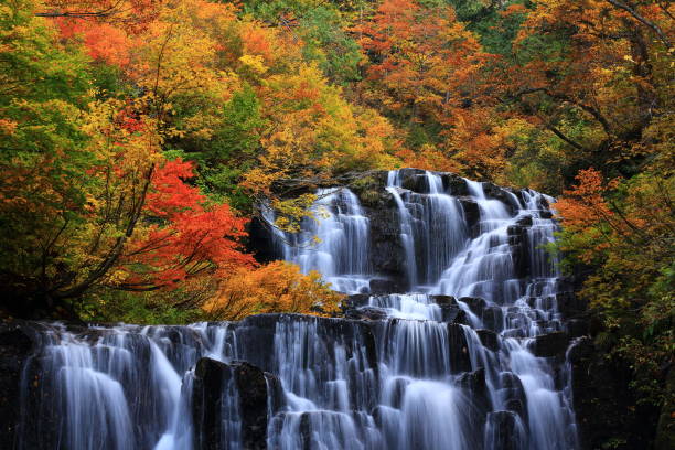 autumnal cascada - región de tohoku fotografías e imágenes de stock