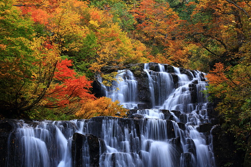 Akita prefecture Kitaakita city autumn leaves waterfall