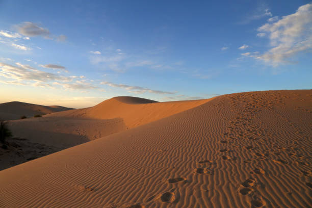 sand dune sunset at park - southern usa sand textured photography imagens e fotografias de stock
