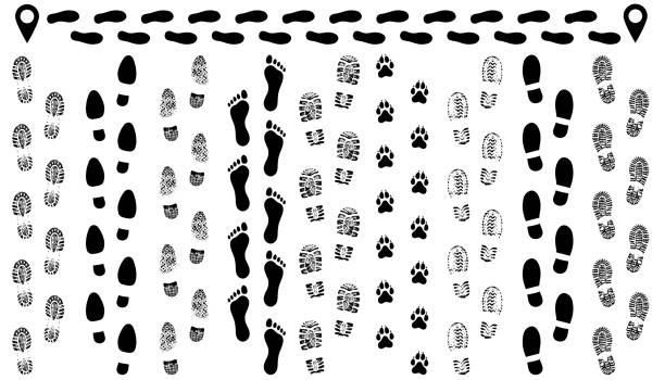 ilustrações de stock, clip art, desenhos animados e ícones de footprint of shoes on the road, isolated set silhouette vector. traces sole, imprint. footstep, footwear - pegadas