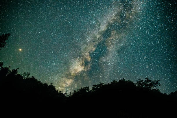 istock Milky Way Galaxy in forest 1033789356