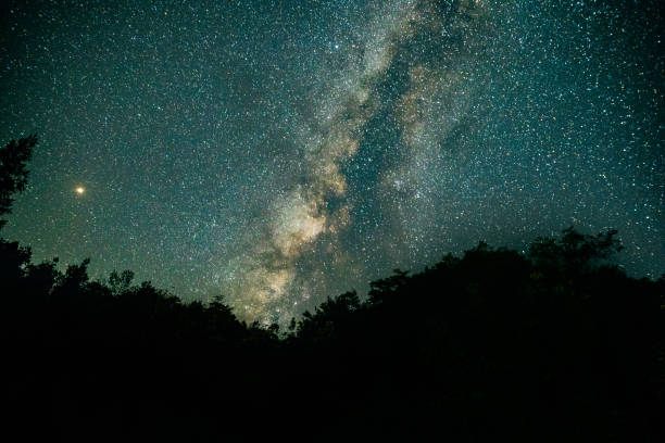 istock Milky Way Galaxy in forest 1033789374