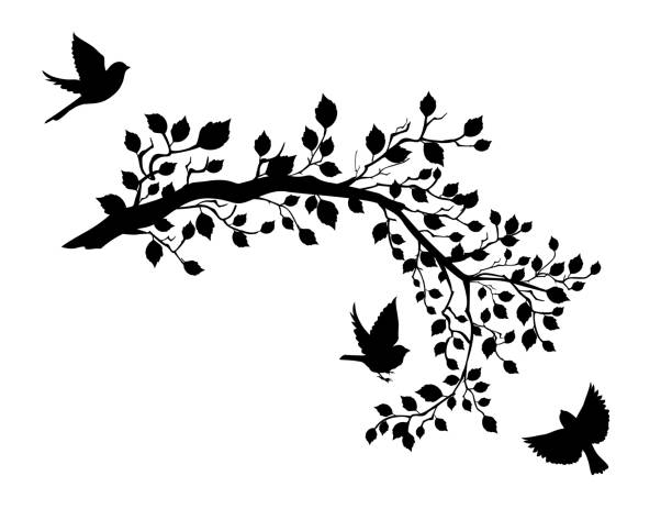illustrazioni stock, clip art, cartoni animati e icone di tendenza di passeri carini con rami - blossom branch tree silhouette