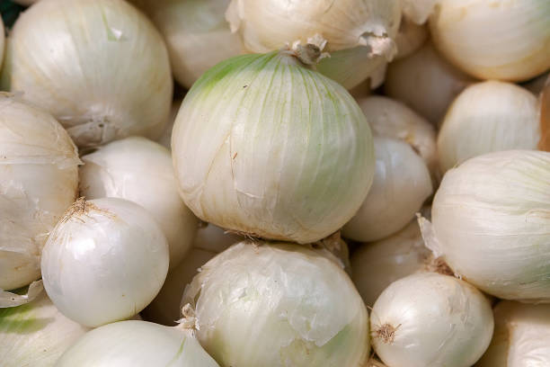 Heap of fresh ripe white onion without husk. Vegetable for salads, pizza, sauces, white salsa. Top view. Close up. Shallow deep of field.