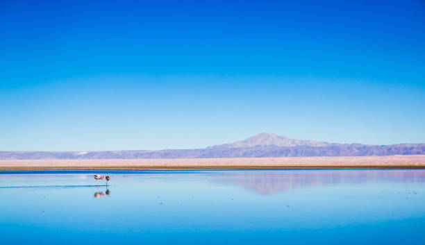 istock The colors of the desert 1033804580