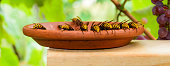 hornets.jpg?b=1&s=170x170&k=20&c=lhrNWii8f34XsFQhBMHKLNgj6M9Wf9KeBkyzyZRdkS4=