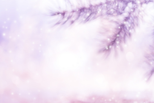 Purple blurred christmas background with pine branches. Pastel colors