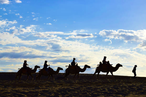 istock Silhouette of A Camel Caravan in the Desert 1033820504
