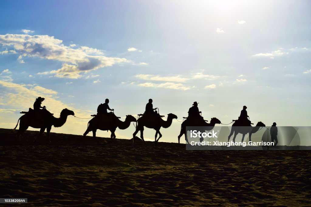 Silhouette of  A Camel Caravan in the Desert Landscape. Silhouette of a camel caravan in the desert, beautiful morning sky as background. Created in Dunhuang, China, 07/07/2018 Silk Road Stock Photo