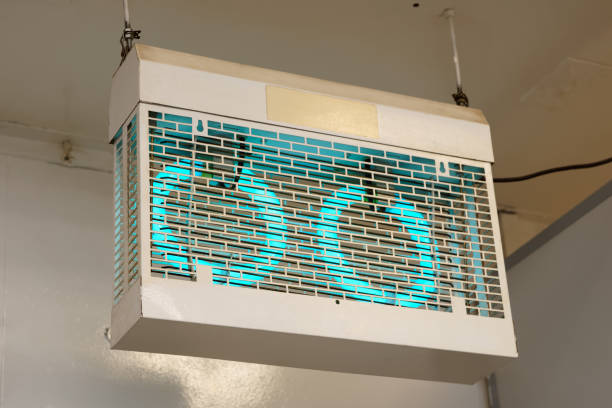 istock Ultraviolet lamp used to attract and kill flying insects 1033823190