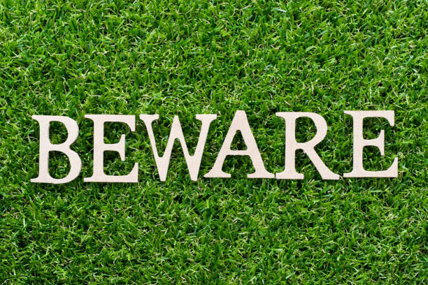 istock Wood alphabet in word beware on artificial green grass background 1033823570