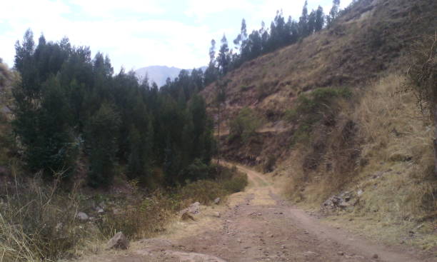 istock road and forest nearby 1033826272