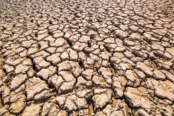 istock Clay soil, loam covered with deep cracks 1033827386