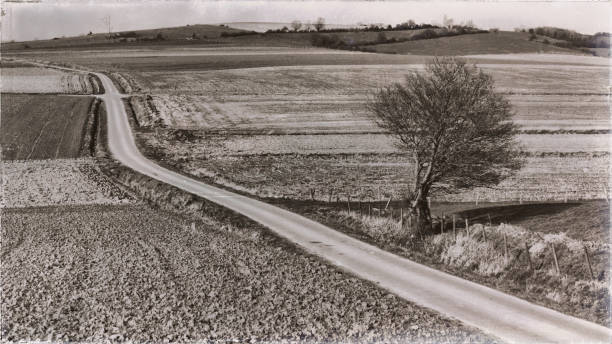 istock Road running through open landscape with solo-tree 1033833774