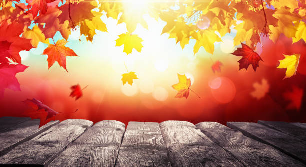 istock Autumn Colorful Background With Leaves In Sunlight 1033851570
