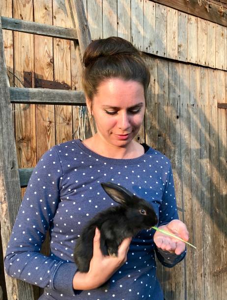 istock A woman holds a rabbit in her hands and feeds it with herbs. 1033856228
