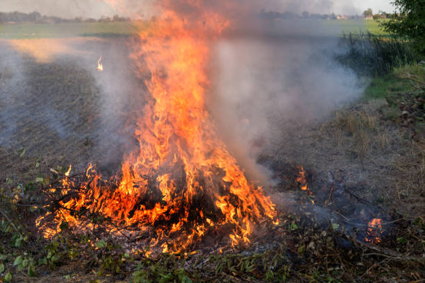 istock Farmer burns green wastes in bonfire 1033860248