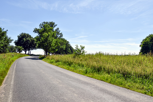 Small country road in Mecklenburg-Vorpommern (Germany)