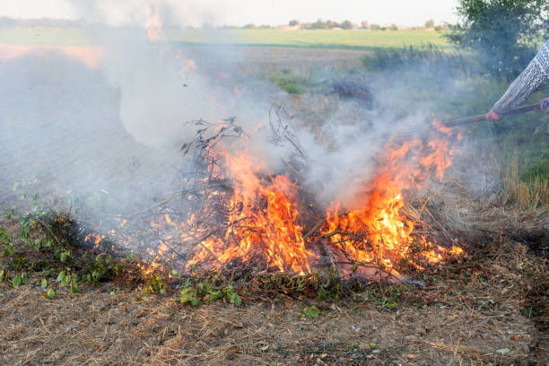 istock Farmer burns green wastes in bonfire 1033865756