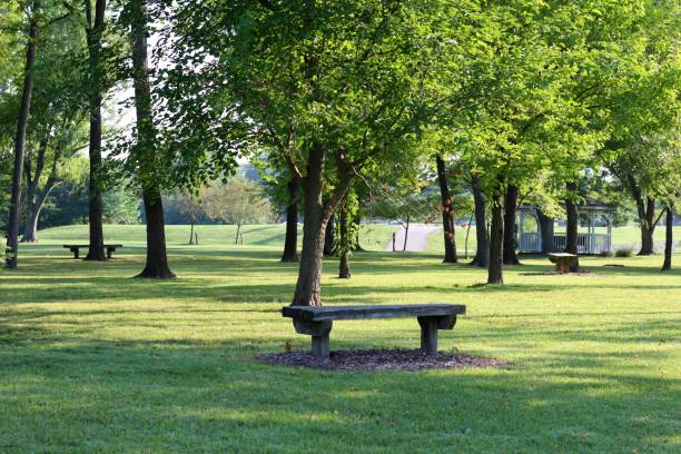 istock Landscape of Park 1033870374