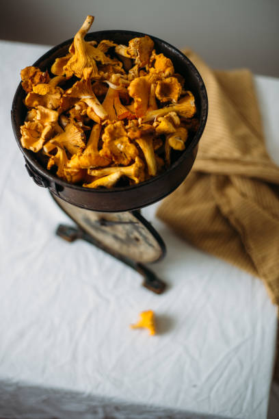 istock Fresh chanterelle mushrooms on rustic background. Autumn concept 1033874350
