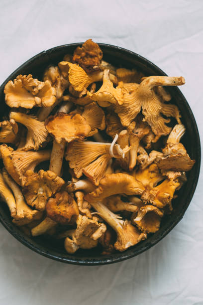 istock Fresh chanterelle mushrooms on rustic background. Autumn concept 1033874830