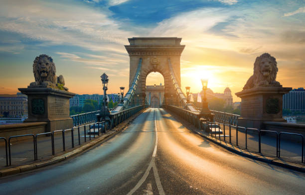 ライオンズの鎖橋 - chain bridge budapest bridge lion ストックフォトと画像