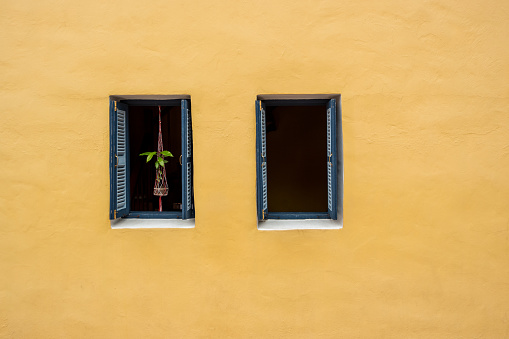 Old window with blue panel and hanging tree pot decoration on yellow wall of a traditional vintage