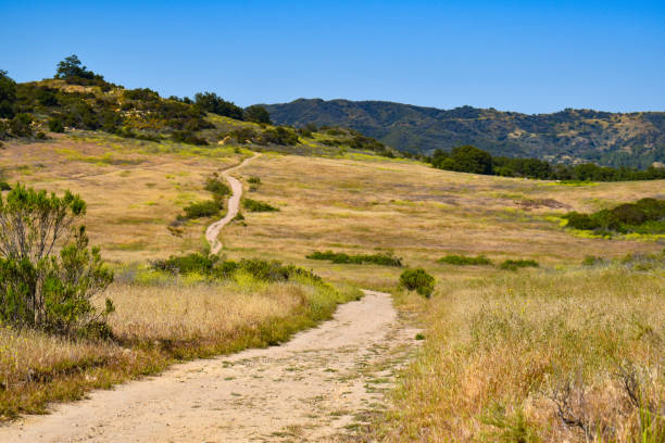 istock Malibu hiking trail during summer 1033885974