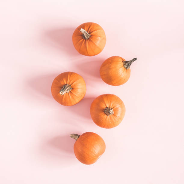 istock Autumn composition. Pumpkins on pastel pink background. Autumn, fall, halloween concept. Flat lay, top view, square 1033889540