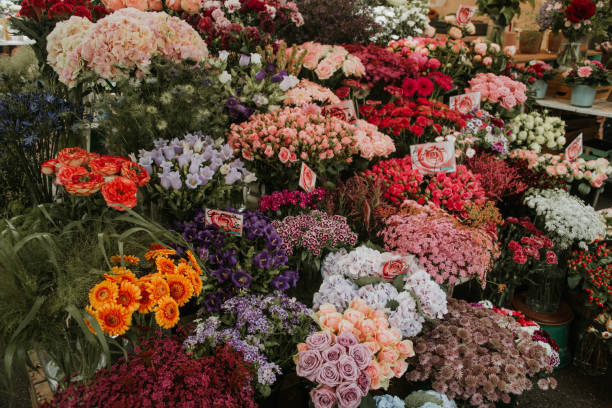 negozio di fiori - flower shop flower flower market store foto e immagini stock