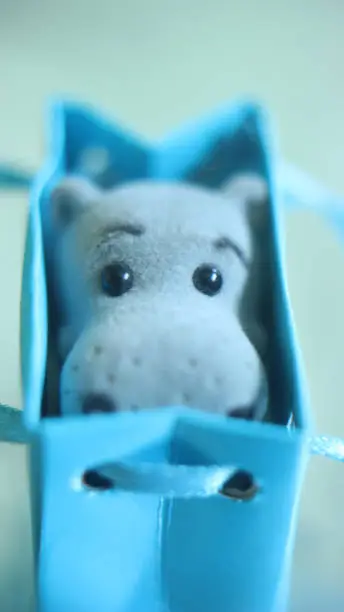 Photo of Cute Stuffed Hippo Toy for Gift