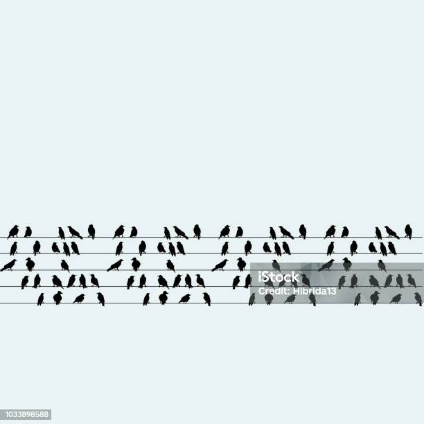 Group Of Birds Sitting On Wires Stock Illustration - Download Image Now - Bird, In Silhouette, Cable
