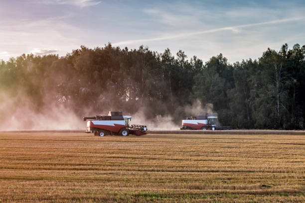 istock Two combiners agriculture machine harvesting ripe wheat field 1033899000