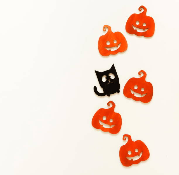 istock Halloween decorations concept  background .pumpkin and black cat on white background. Copy space 1033905648
